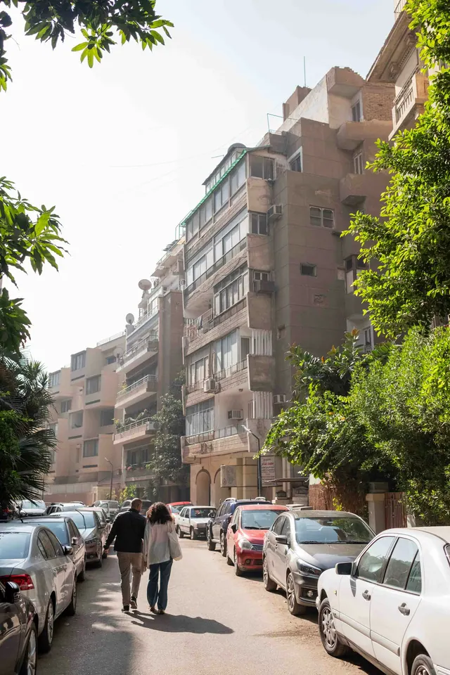 Grönskande gata med parkerade bilar i Zamalek