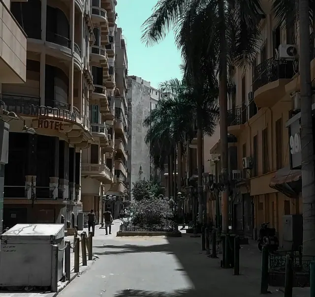 Gata med höga hus och palmer i Downtown Kairo