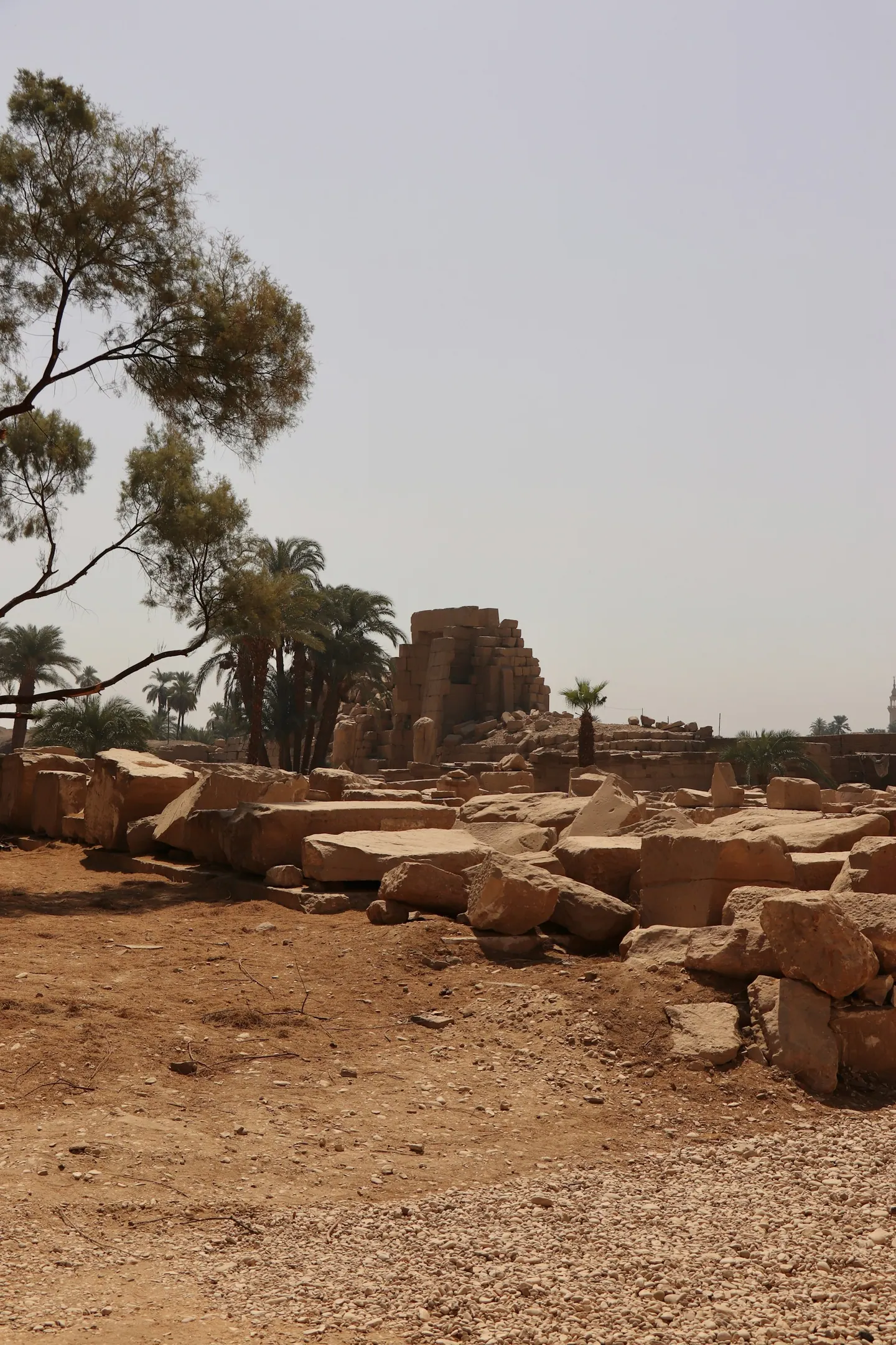 Sandstensruiner och palmer vid Luxortemplet.