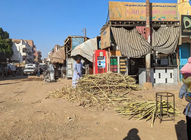 Sockerrör förbereds vid en dryckesbutik i Edfu.