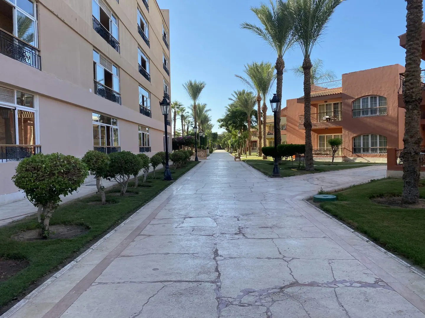 Palmer och hotellbebyggelse i Hurghada.