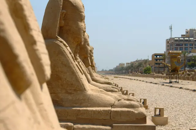 Rader av sfinxer längs Sfinxallén i Luxor.