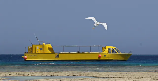 Glasbottenbåt vid Makadi Bay i Röda havet